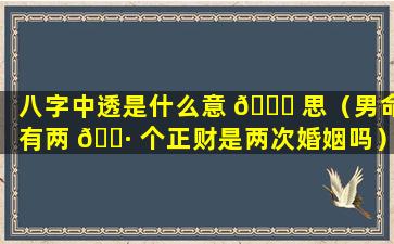 八字中透是什么意 🕊 思（男命有两 🌷 个正财是两次婚姻吗）